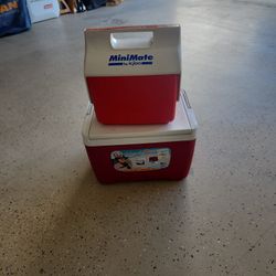 9 Quart/mini Cooler(Igloo)
