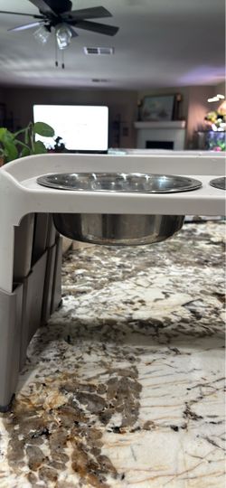Puppy/dog water food bowl