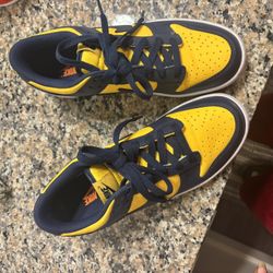 Navy And  Blue Dunks