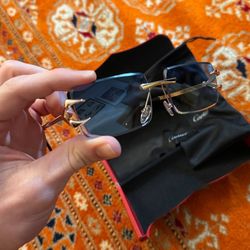 Cartier Blue Lens Snake
