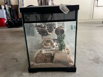 Glass Tank / Terrarium 🐢
