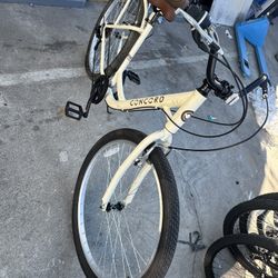 Concord Beach Cruiser