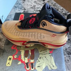 Air Jordan  xxxvI Se Rui