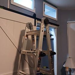 22 Foot Gorrilla Extendable Ladder