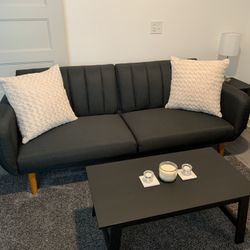 Brand New Sleeper Couch