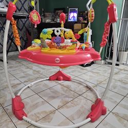 Activity Bouncer/Jumper