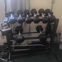 Weight bench, Dumbbells and dumbbell Rack
