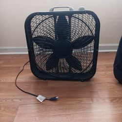 Fan