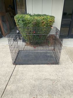 Kong xl dog crate