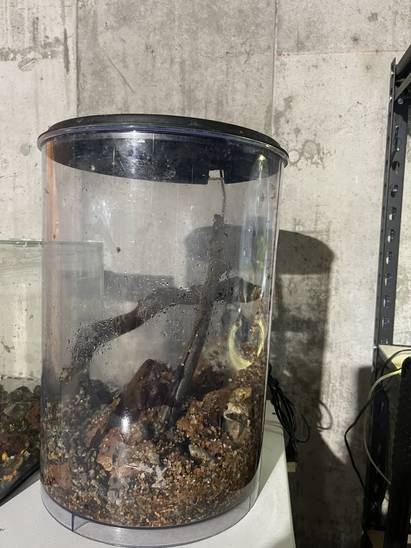 Small fish tank