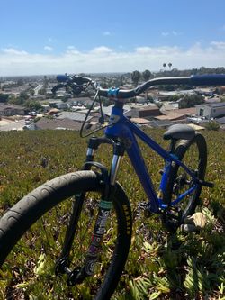 Mafia la plaga bike