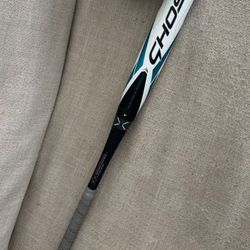 Ghost Bat 31 -11