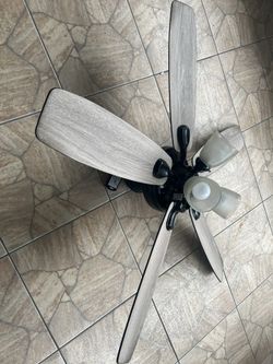 Hunter Ceiling Fan