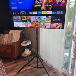 55” Samsung TV and tripod mount