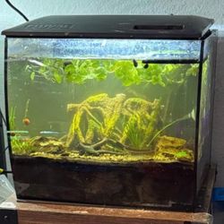 Aquascape Hardscape for Fish Tank Aquarium