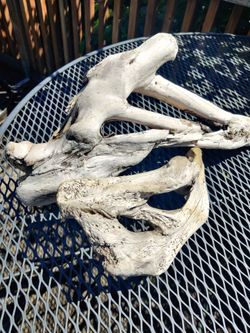 Driftwood 22x9x3