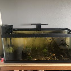 Fish Tank. 