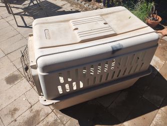 Petmate large dog crate