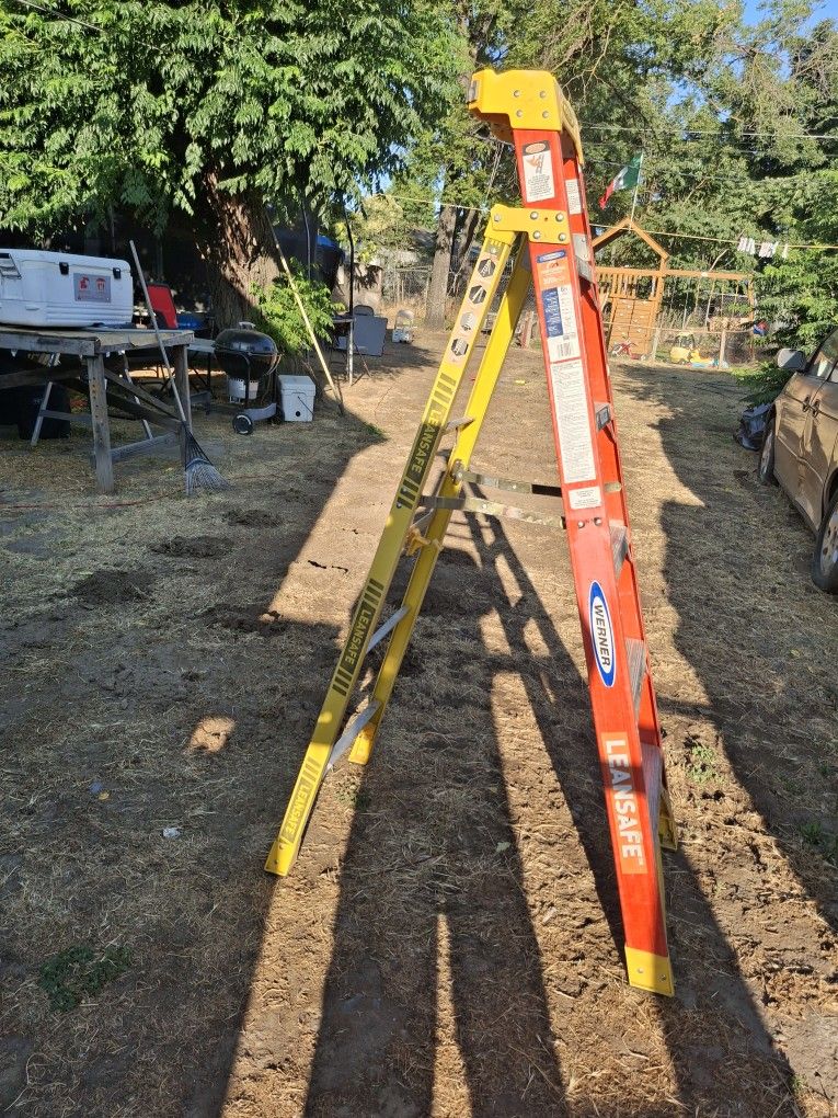 Werner Fiber Ladder