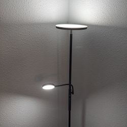 Black LED Floor Lamp