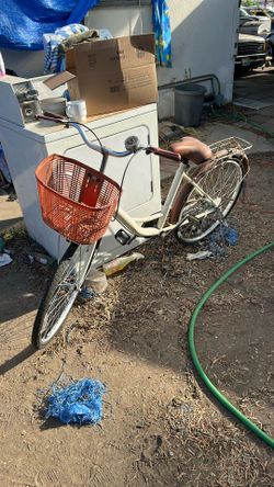 Schwinn Old School Bike