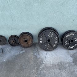 Gym Equipment