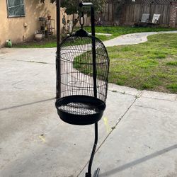 Bird Cage