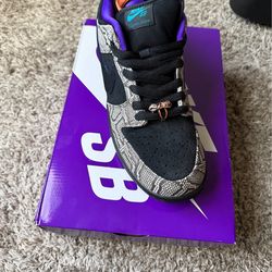 Nike Sb Dunk Low Dashawn Jordan Copperhead