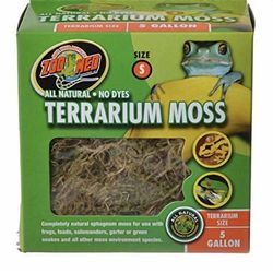 Zoo Med Terrarium Moss Substrate Green 1ea/5 gal, SM