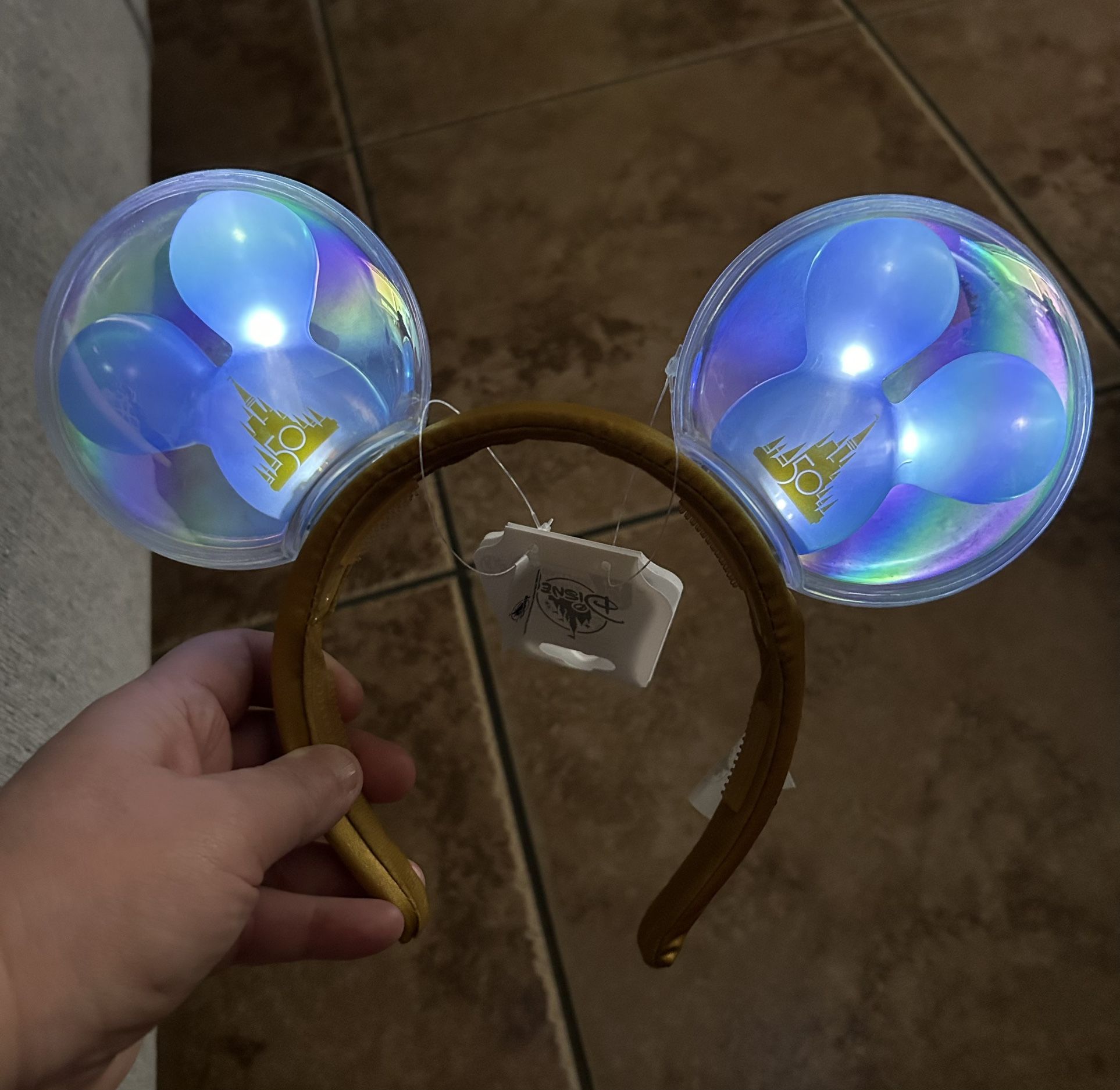 Disneyland ears light up