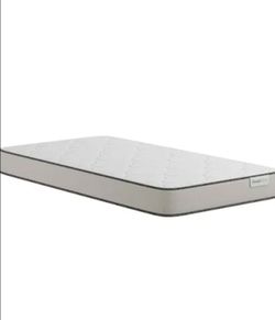 FREE twin and full size mattresses