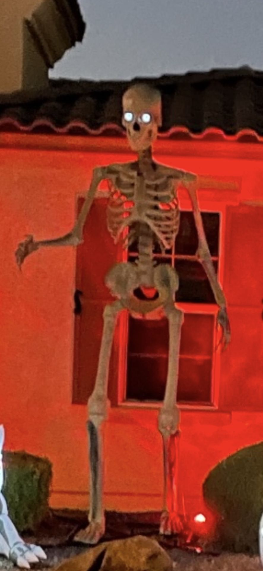 12 Foot Home Depot Skelly Skeleton