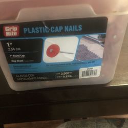 1 Inch Roofing Plastic Cap Nails