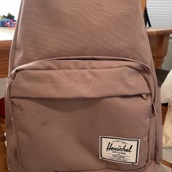 Pink Hershel Laptop Backpack 