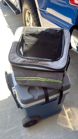 Small pet backpack carrier