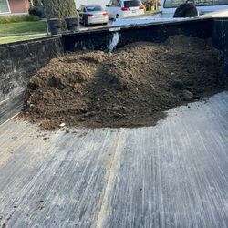 Clean Dirt! 