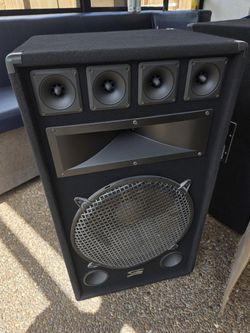EC15 15" Passive PA Speaker – 900W Max / 8 Ohm – Speakon + Binding Posts