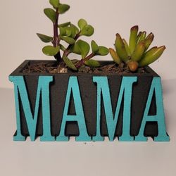 Mother's Day Succulent Planter