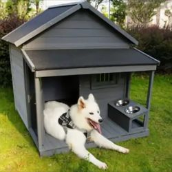 Beautiful Dog House, medium size