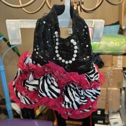 Halloween Pet Costume