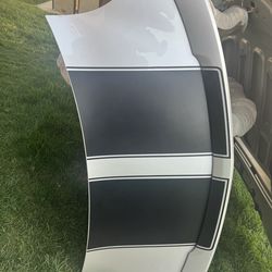 Camaro Hood and Trunk