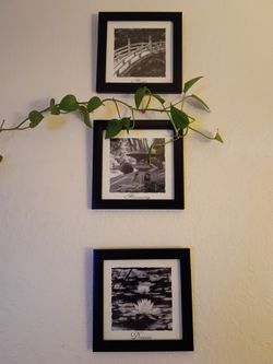 3 pcs photography framed work decor