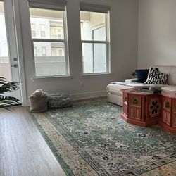 Large x Area Rug – Modern and Bright Living Room Rug – 9x12- Like New-$250- Available 