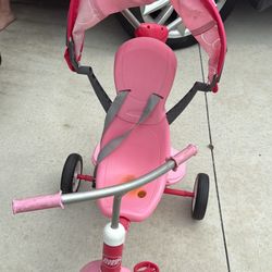 Radio Flyer Trike Push 