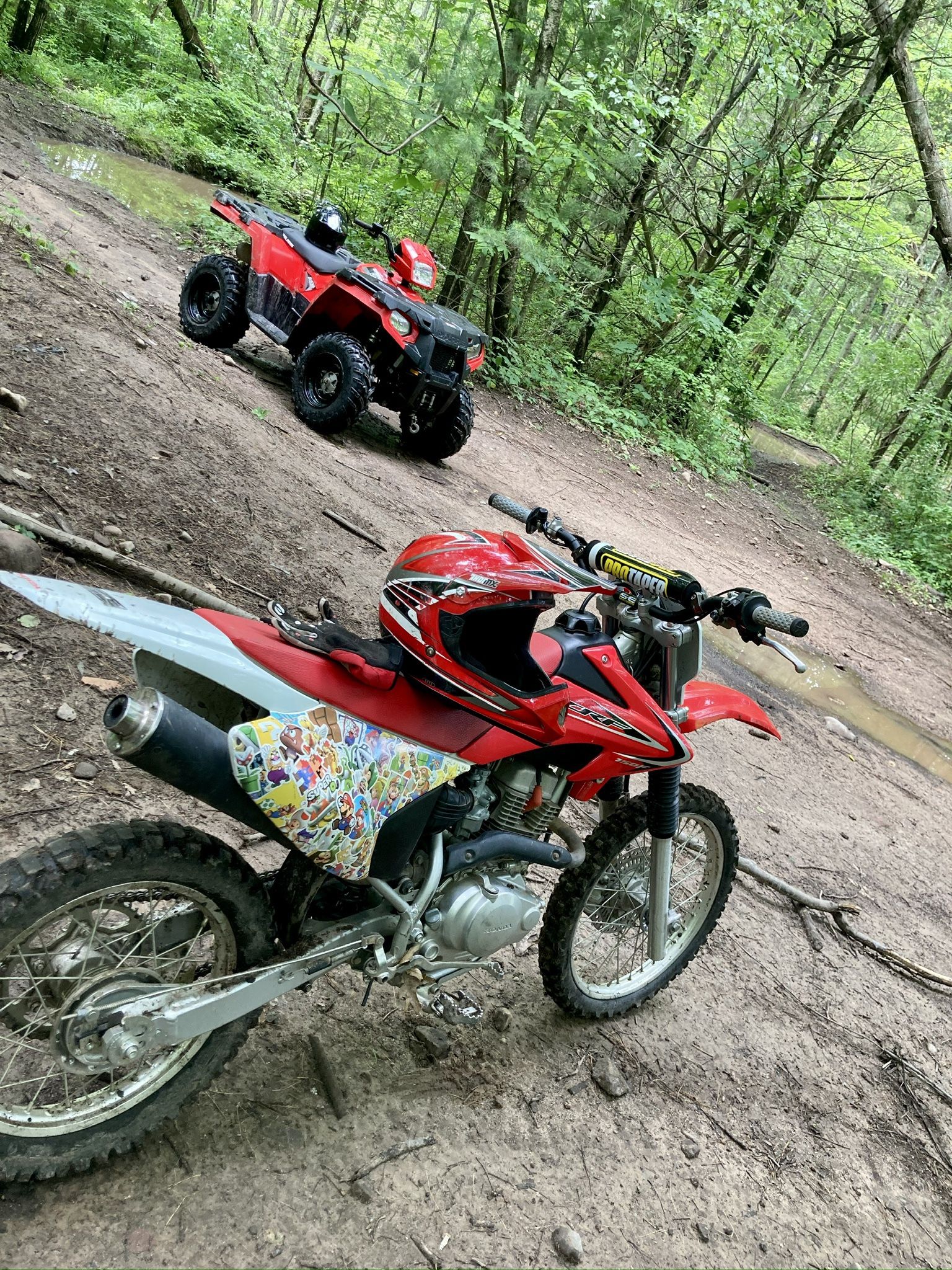 2014 Honda CRF150F