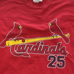 VINTAGE LEE SPORT MARK MCGWIRE ST LOUIS CARDINALS SIZE XL