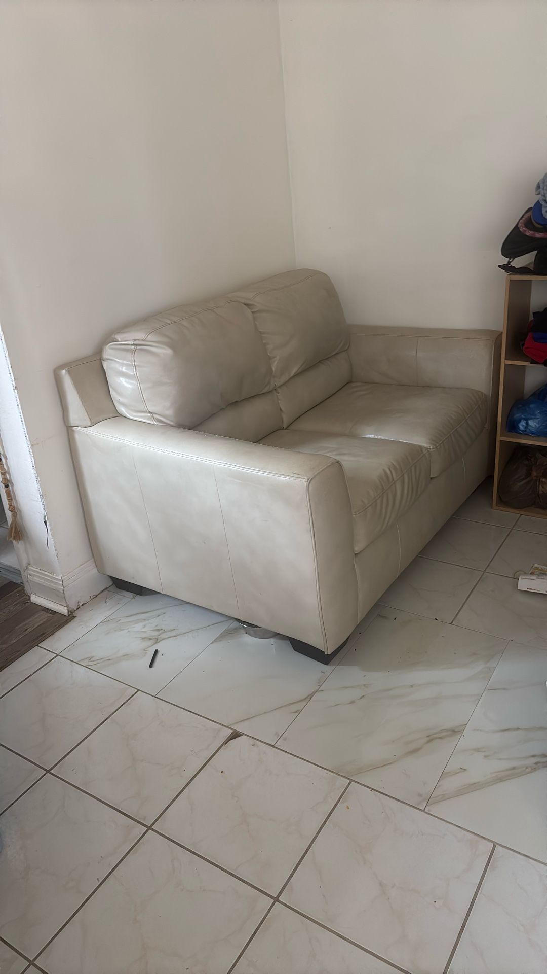 Free Loveseat Couch