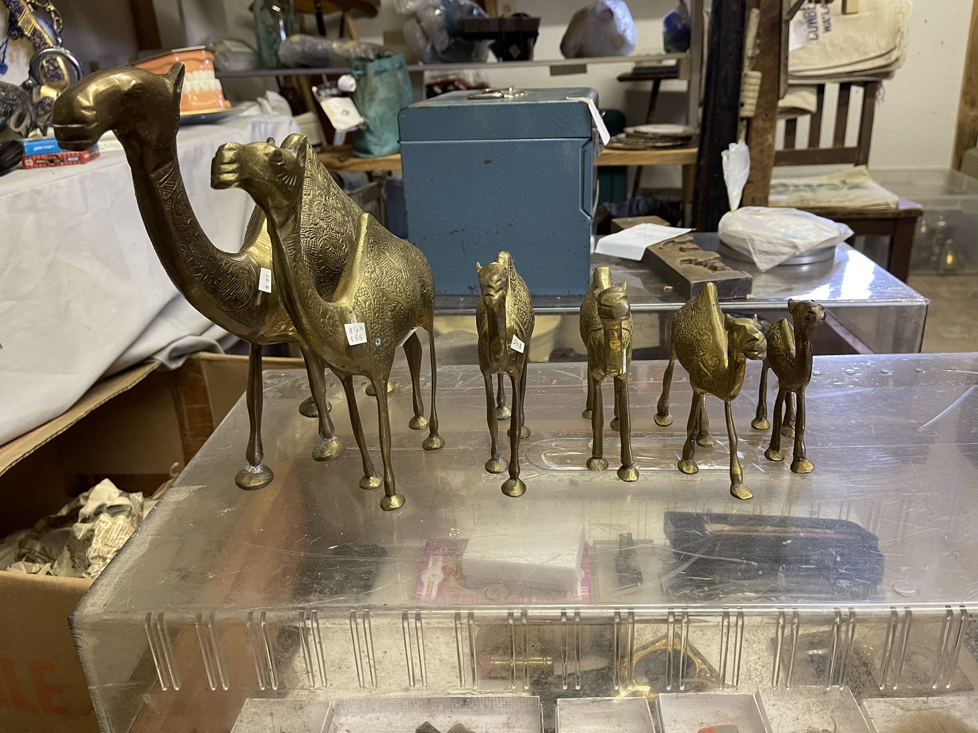 Set Of 6 Brass Camels