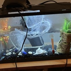 fish tank with water pump, water filtration 