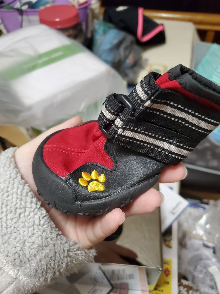 Dog shoes